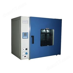 TD101-1S型电热恒温鼓风干燥箱养护设备